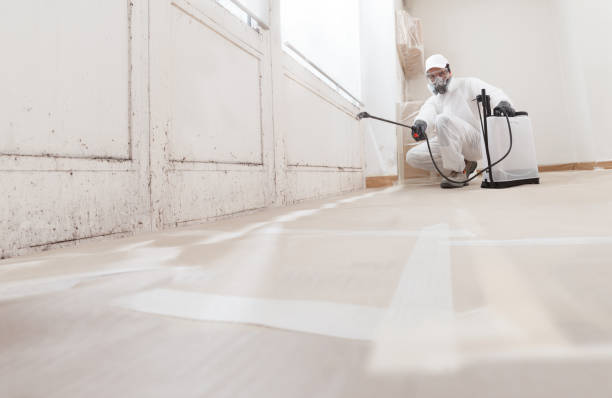 24/7 Emergency Mold Remediation experts in Rosedale, MD